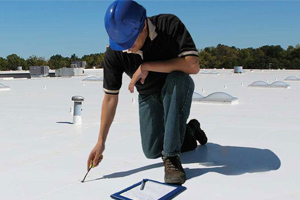 Roof Inspection Perrysburg